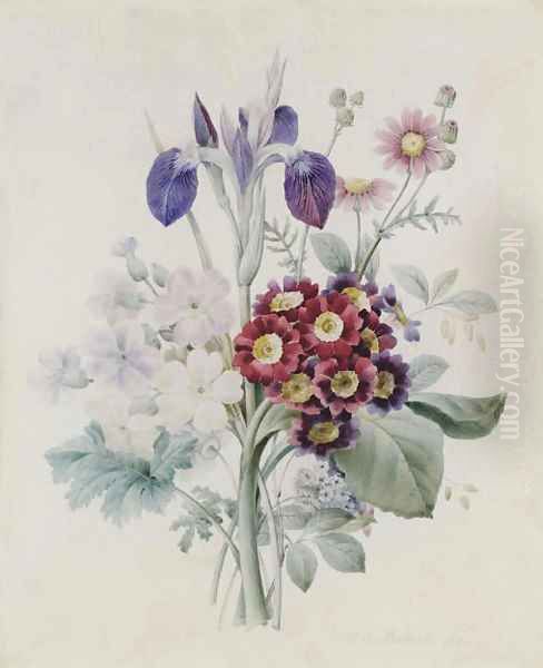 A bunch of flowers with a blue iris and some red auriculae - view 1