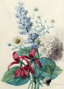 Hydrangea, hyacinths, Saint-Jacques lilies and daisies by Pierre-Joseph Redoute