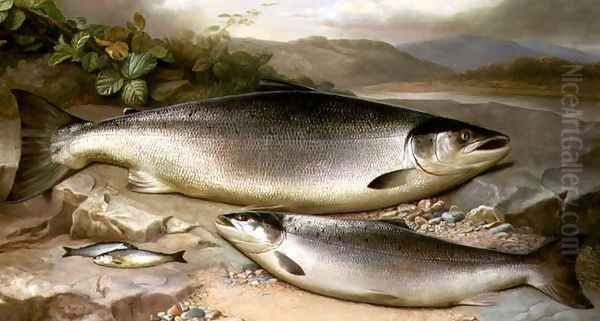 Fish Still Life - view 1