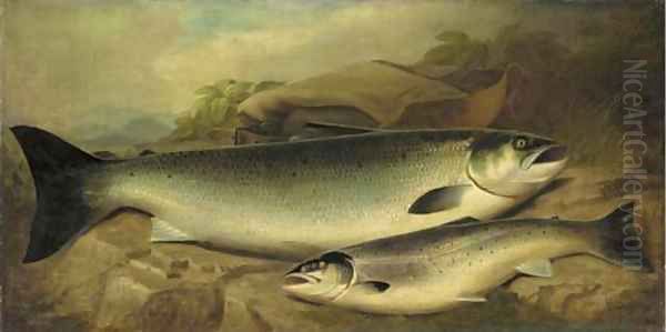 Salmon and trout on a river bank - view 1