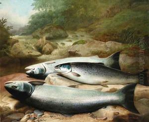 Three Salmon on a Rocky Riverbank