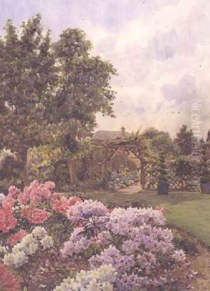 Rhododendrons - view 1
