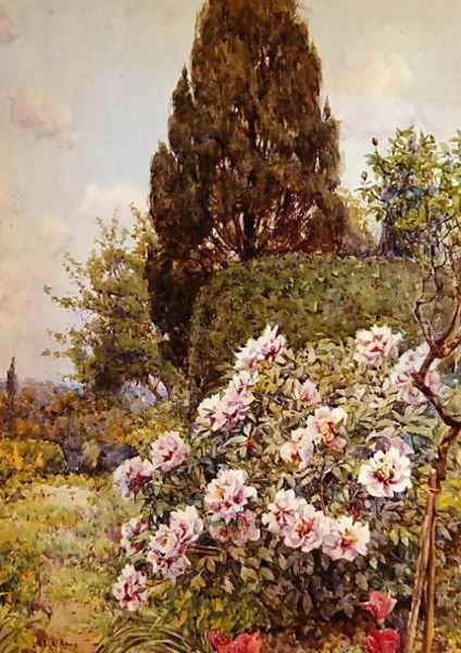Peonies, Coddington, near Ledbury - view 1