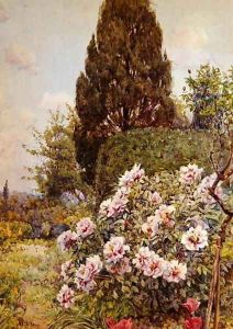 Peonies, Coddington, near Ledbury