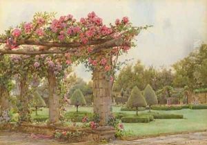 A walk way covered with the American Pillar rose, Hever Castle by Ernest Arthur Rowe