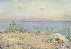 The straits of Messina and Calabria from Taormina, Sicily