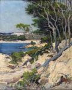 Mistral Sur Les Calanques A Cassis