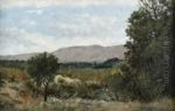 Le Luberon - view 1
