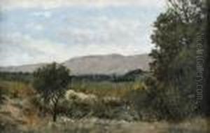 Le Luberon by Jean-Baptiste Olive