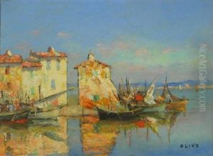 Mediterranean Moored Fishing Boats