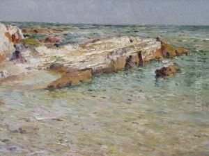 Coastal Landscape Coastal Landscape