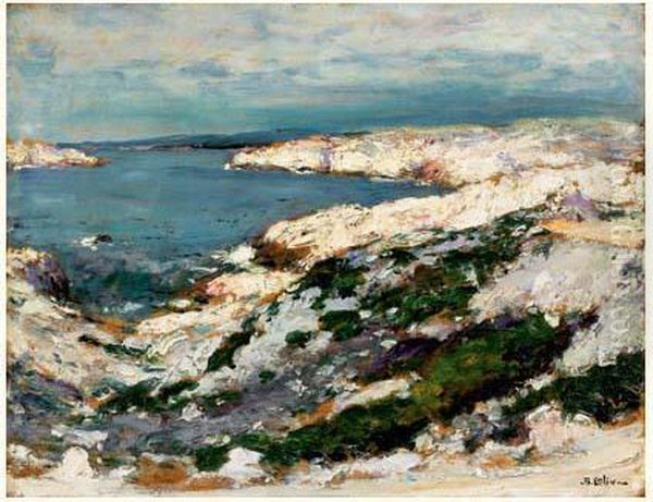 Rochers En Bord De Mer - view 1
