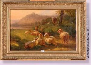 Moutons Et Vaches Au Pre Moutons Et Vaches Au Pre