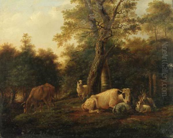 Cattle - view 1