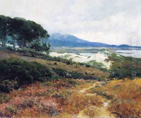 California Poppy Field - view 1
