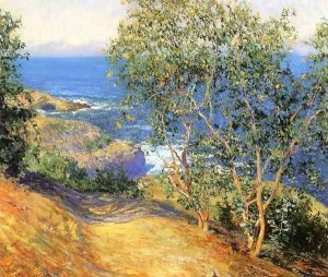 Indian Tobacco Trees La Jolla 1916 Indian Tobacco Trees La Jolla 1916