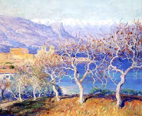 Fig Trees Antibes - view 1