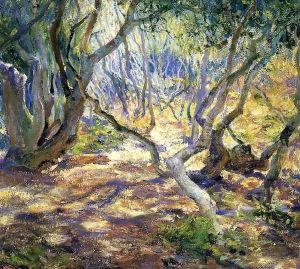 Oak Grove Carmel Oak Grove Carmel