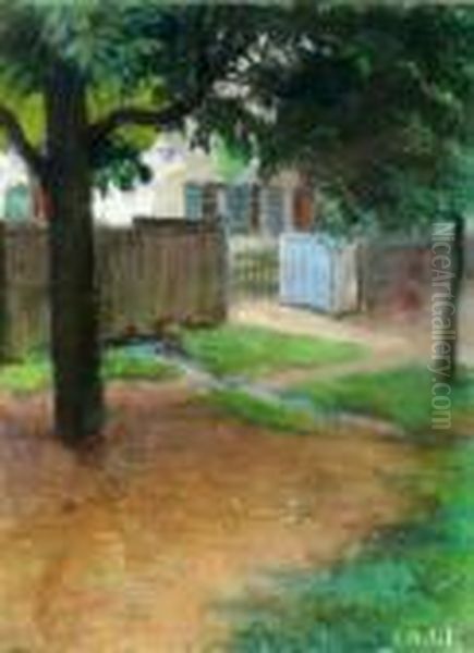 Front Yard Of A House - view 1