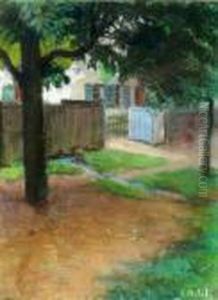 Front Yard Of A House