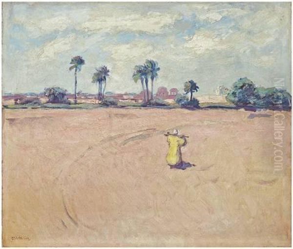 Auf Dem Weg In Die Oase (agypten) - view 1