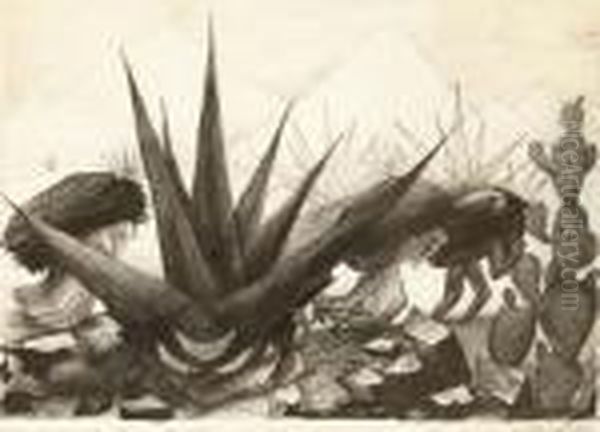 Maguayes Y Nopales - view 1