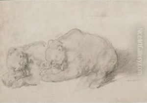 The Bear