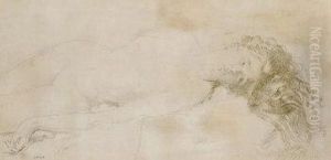 Reclining Nude Reclining Nude