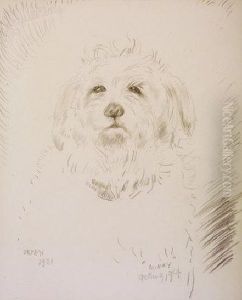 'minky - Getting Old" - Study Of A Dog 'minky - Getting Old" - Study Of A Dog
