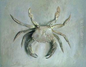 Velvet Crab, 1870-1 by John Ruskin
