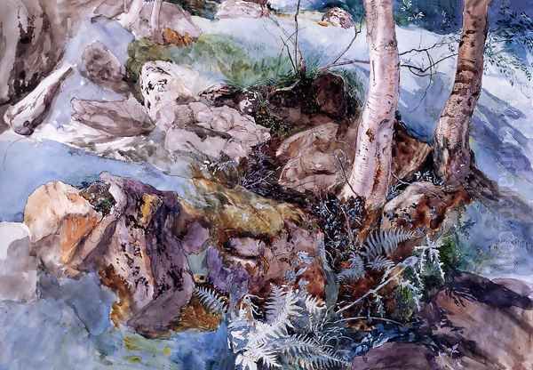 Study of the Rocks and Ferns, Crossmouth - view 1