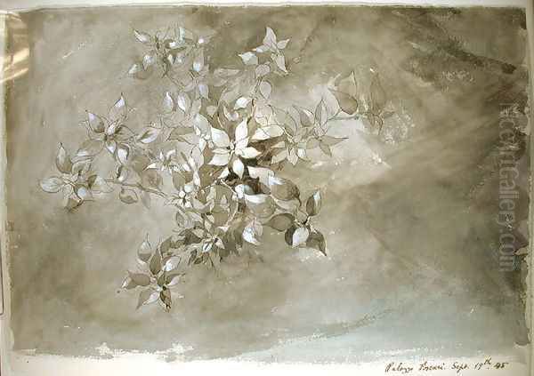 Study of foliage, 1845 - view 1