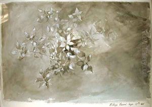 Study of foliage, 1845 by John Ruskin
