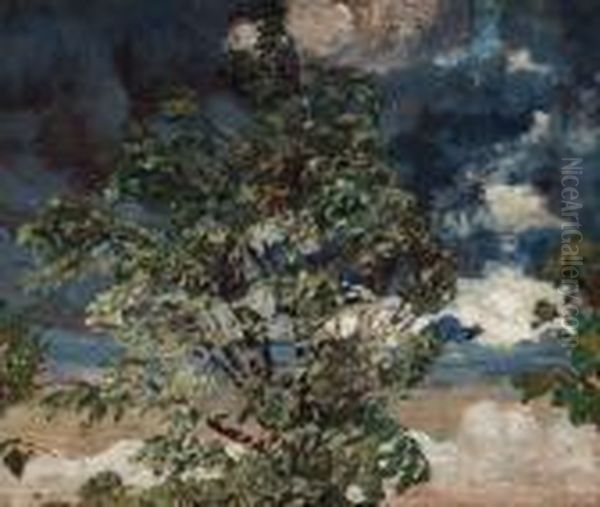 Tree Against Darkening Skies - view 1
