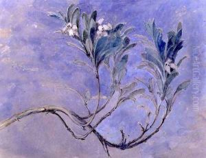 Study of a Sprig of a Myrtle Tree, c.1877 by John Ruskin