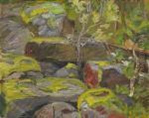 Vid Tannforsen by Helmer Osslund