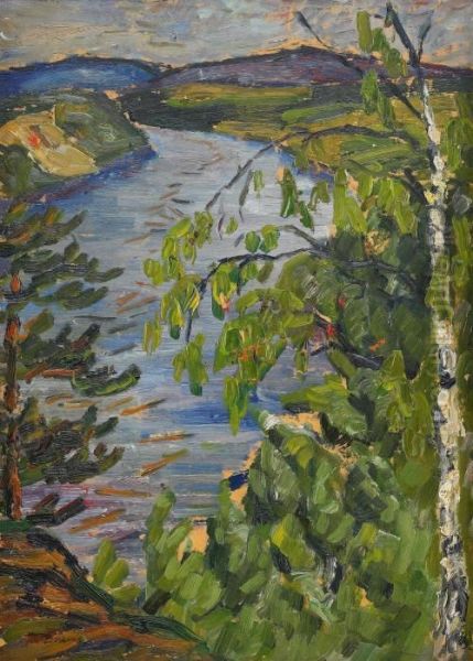 Norrlandskt Landskap Med Fors - view 1