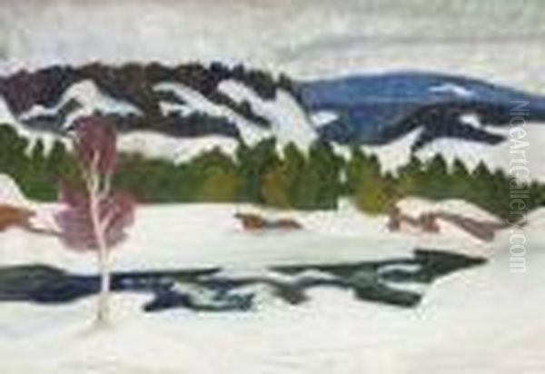 Vinterlandskap - view 1