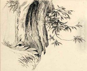 Spanish chestnut