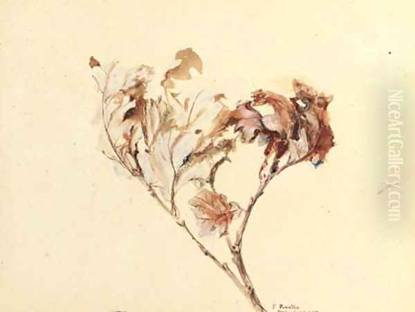 Study of oak leaves - view 1