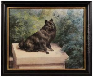 Portrait Of A Pomeranian by Edmund Henry Osthaus