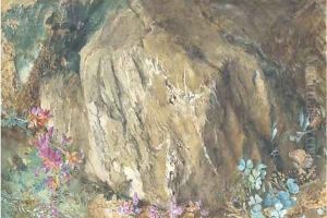 Oxalis and heather