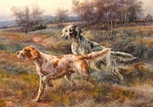 Two Setters In A Field Two Setters In A Field