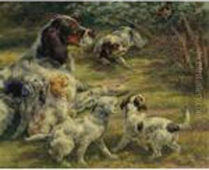 The Curious Pups The Curious Pups