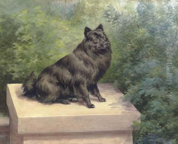 A Pommeranian Seated On A Pedestal In A Garden - view 1