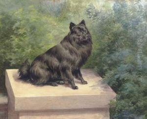 A Pommeranian Seated On A Pedestal In A Garden A Pommeranian Seated On A Pedestal In A Garden