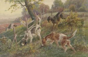 Pointers In Autumn Landscape Pointers In Autumn Landscape