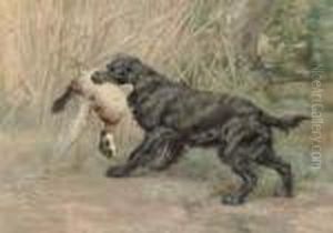 A Spaniel With A Mallard