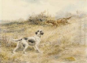 English Setters Pointing English Setters Pointing