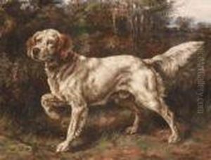 A Setter At Point